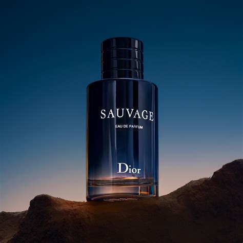 dior sauvage creme idealo|sauvage de dior precio.